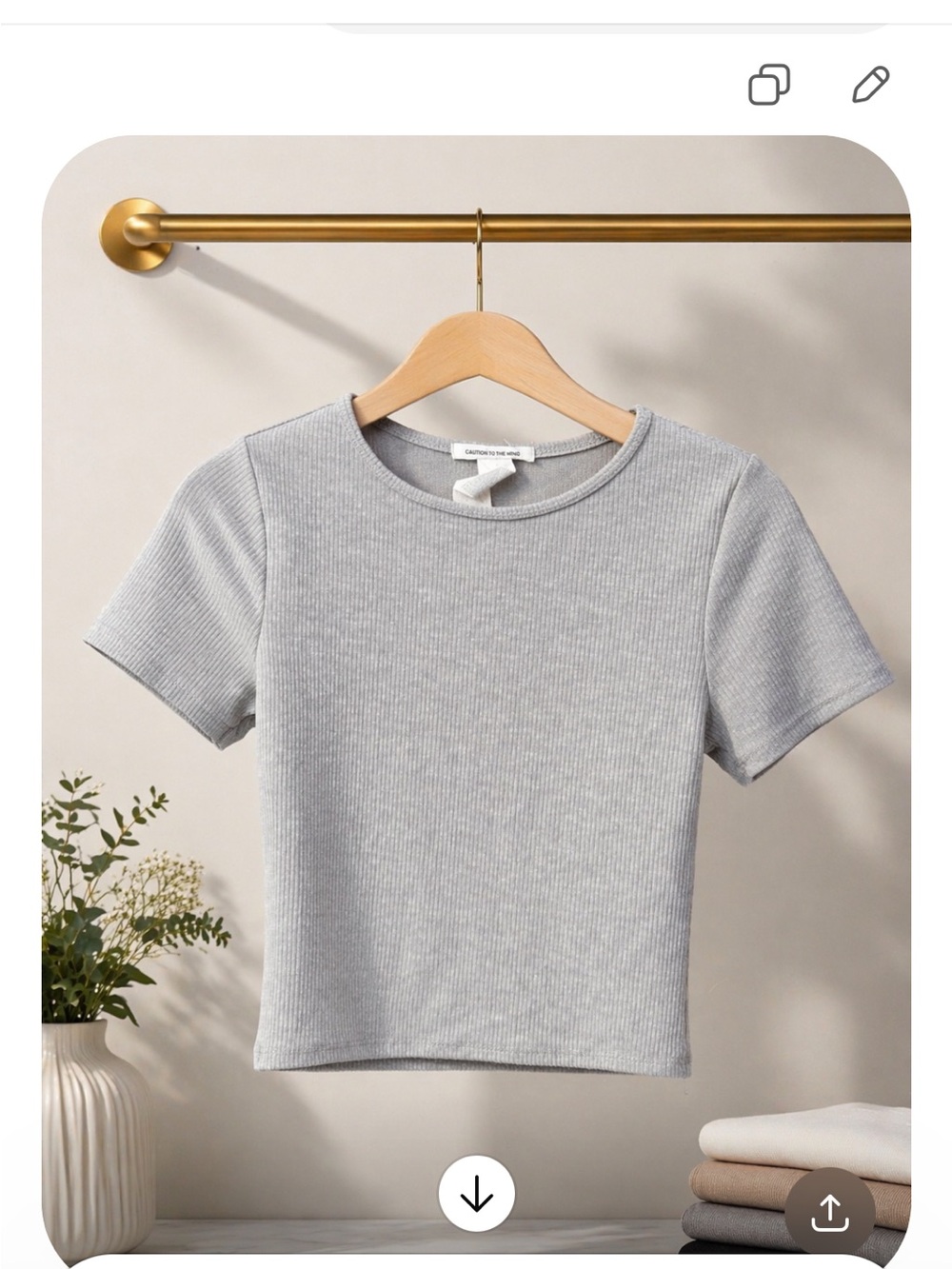 Caution To The Wind Ribbed Crop Top in Light Gray